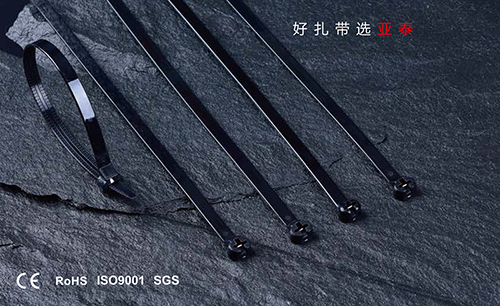不（bú）鏽（xiù）鋼嵌片尼龍紮帶（船用）